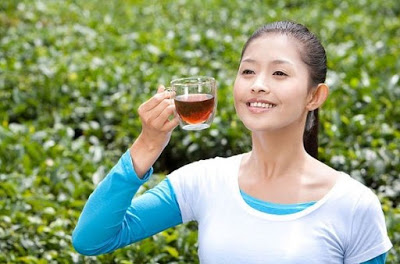 Uống trà có lợi cho sức khỏe
